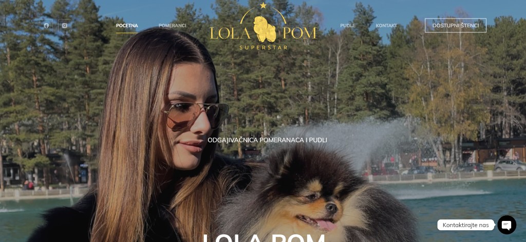 Lola Pom Superstar — Pomeranian and poodle kennel website